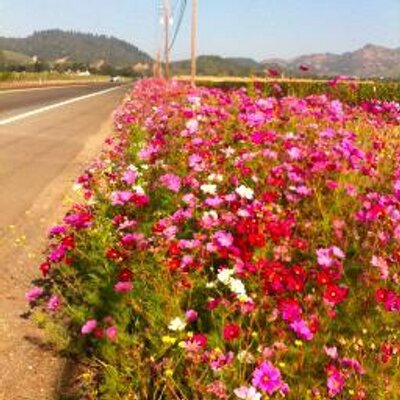 Profile Picture of Doug Cowart (@Cardioactive) on Twitter