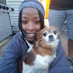 Profile Picture of Stephanie ---Dog Trainer 🐕🐾🚘✈ (@pawdawgs203) on Instagram