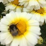 Profile Picture of Patrick Conner (@conner6704) on Instagram