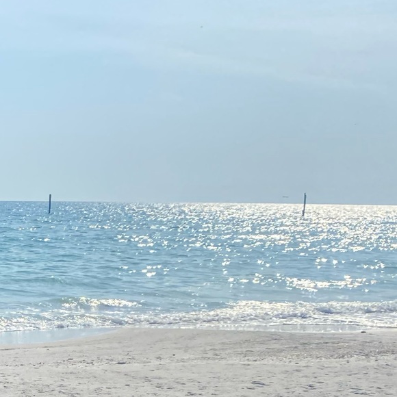 Profile Picture of Alex Rehill (@alexrehill) on Poshmark