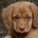 Profile Picture of Hannah Trapp (@hannahgracetrapp) on Pinterest