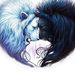Profile Picture of Jack McCuin (@jacksonmccuin0) on Pinterest