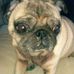 Profile Picture of Laurie Manning (@laurie.manning.9678) on Facebook