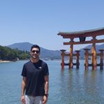 Andrew Meschiatti-Silva - Instagram Profile Picture of Andrew Meschiatti-Silva (@andrew_ms) on Instagram