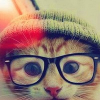 Profile Picture of Manju Chauhan (@manju-chauhan-32) on Quora