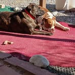 Profile Picture of Jill Hogate Kimberlin (@jill.kimberlin.9) on Facebook