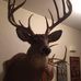 Profile Picture of Darrell Wall (@darrell.wall.7927) on Facebook