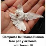 Profile Picture of Cecilia CV (@piche.28112) on Instagram