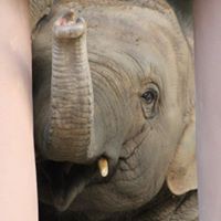 Profile Picture of Chris Berlin (@chris-berlin-10) on Quora