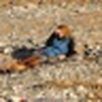 Profile Picture of Ala Mallinder (@ala.mallinder) on Flickr