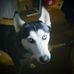 Profile Picture of Mathew Strawser (@Mathew-Strawser) on Facebook