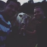 Profile Picture of Adam Krejcik (@adamkrejcik) on Instagram