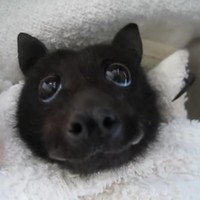 Profile Picture of Luke John  (@luke-john-139) on Quora