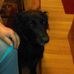 Profile Picture of Brad Behrens (@brad.behrens.33) on Facebook