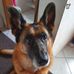 Profile Picture of Thomas Schneider (@thomas.schneider.73594479) on Facebook