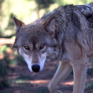 Profile Picture of David Bushong (@akabu) on Myspace