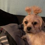 Profile Picture of Sylvia Lemon (@lemonsylvia8) on Instagram