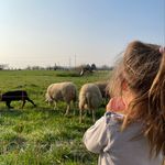 Profile Picture of Kim Lombardo (@kimlom_87) on Instagram