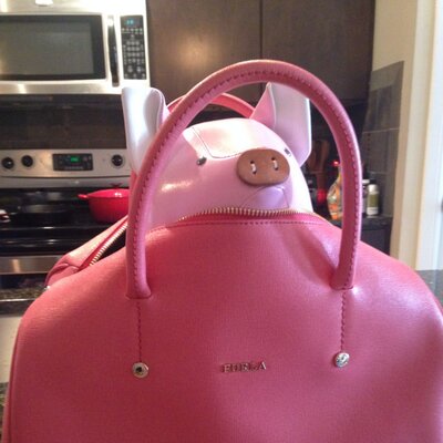 Profile Picture of Yunfei Li (@Yunfizzle) on Twitter