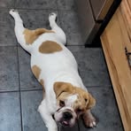 Profile Picture of Marsha Ewing (@marsha.ewing.842333) on Facebook