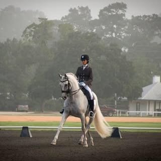 Profile Picture of Rebecca Forrest Blikslager (@windcroftfarm) on Instagram