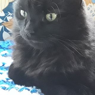 Profile Picture of Mike Mahoney (@mike.mahoney.50) on Facebook