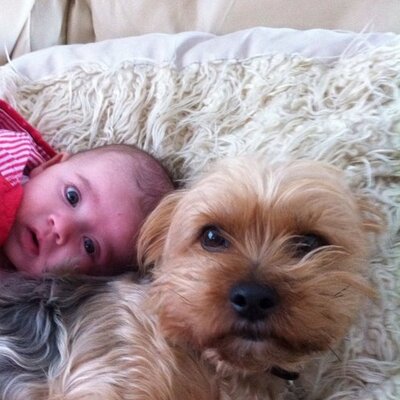 Profile Picture of Hilary Manning (@HilbillyManning) on Twitter