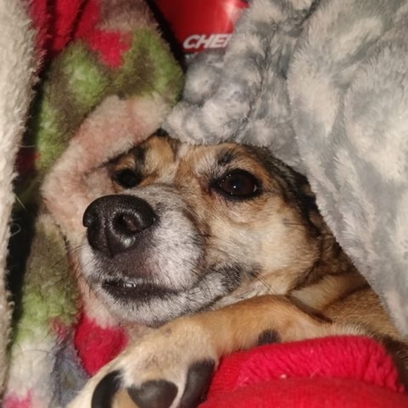 Profile Picture of Jesse Fisher (@jezediah_fisher) on Poshmark