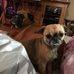 Profile Picture of Eric Spiller (@eric.spiller.73) on Facebook