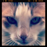Profile Picture of Peter DuPuis (@fakepedupuis) on Instagram