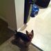Profile Picture of Kim McCann (@kim.mccann.984) on Facebook