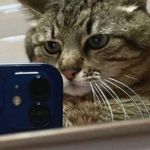 Profile Picture of Jeremy Zipagan (@jrmyzpgn) on Instagram