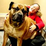 Profile Picture of shaun farley (@bald165) on Instagram