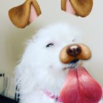 Profile Picture of James Boer (@james.boer) on Instagram