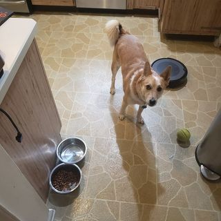 Profile Picture of matthew proano (@matt.proano) on Instagram