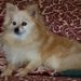 Profile Picture of Trudy Rutledge (@nanatrudy12) on Pinterest