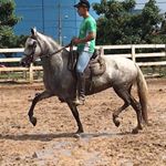 Profile Picture of Gabriel Campos (@gabriel_campos6) on Instagram