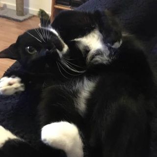 David Whitney - Facebook Profile Picture of David Whitney (@david.whitney.5059) on Facebook