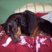 Profile Picture of Donna Mae Foster (@donna.m.foster.75) on Facebook