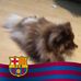 Profile Picture of Rosa Amavizca (@rosa.amavizca) on Facebook