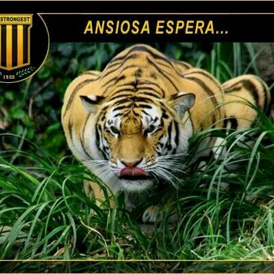 Profile Picture of Bryan Gilson 10 (@BryanGilson10) on Twitter
