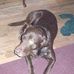 Profile Picture of Susan Blevins (@susan.blevins.77) on Facebook