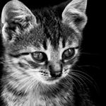 Profile Picture of kaitlin maynard (@kaitlinmaynard63) on Instagram