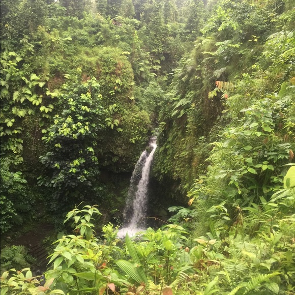 Profile Picture of Elwin Carbon (@ecarbon) on Poshmark