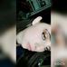 Profile Picture of Julia Ryan (@julia.ryan.98229) on Facebook