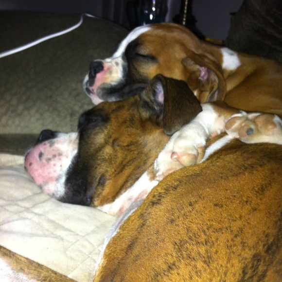 Profile Picture of Jessica Bloser (@jbloser) on Poshmark