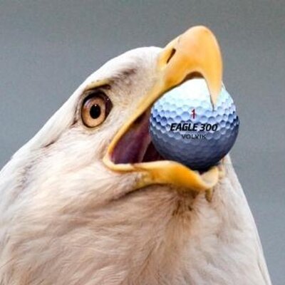 Profile Picture of Keith Gore (@kgore123) on Twitter