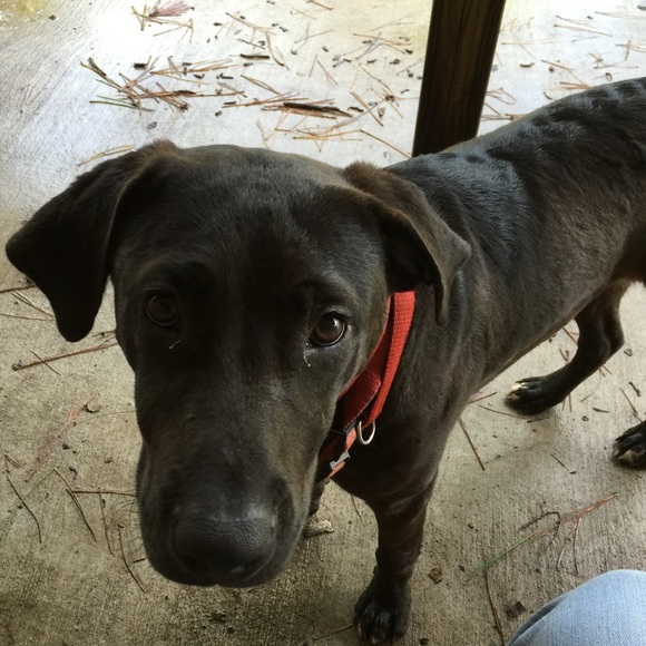 Profile Picture of Cindi Bauries (@bau123) on Poshmark