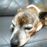 Profile Picture of Paula Lynette Naylor (@paulalynettenaylor) on Instagram