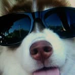 Profile Picture of Ashley Jakubczak (@ashley.jakubczak.1) on Facebook